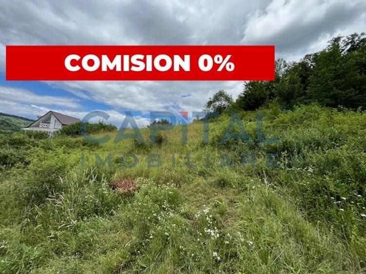 Teren Intravilan Constructii Podis-Margineni - 1