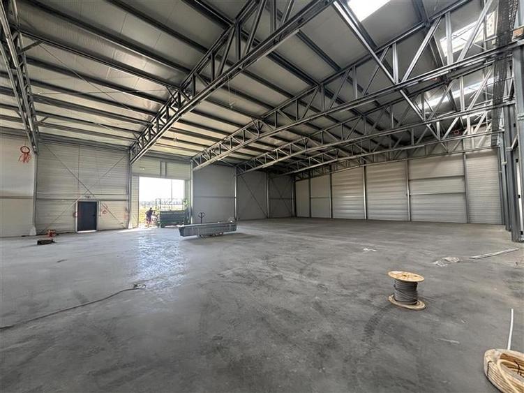 Vanzare depozit/hala/spatiu industrial Mogosoaia - Buftea - 7