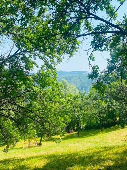 Teren 4176 mp Valea Doftanei (Teșila) – vedere panoramică, toate utilitățile - 8