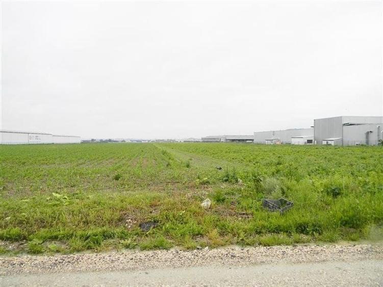 Teren pentru hale-Ghimbav-Joysonquin - 10