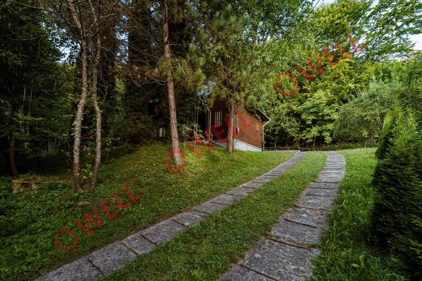 De vânzare casă de vacanță și teren intravilan în Sovata! - 15