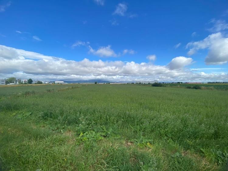 Teren extravilan, 7000mp,  Cristian - 1