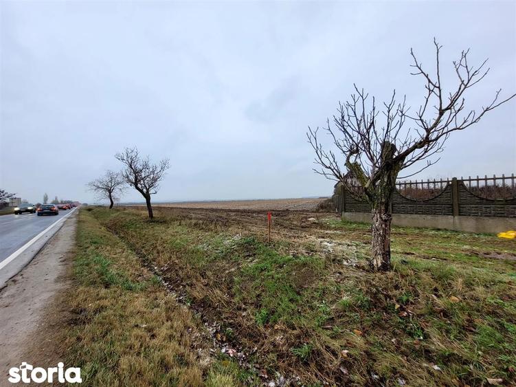 Teren intravilan,Calea Aradului,zona aeroport, Oradea - 5