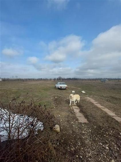 Teren intravilan de vanzare 28094 mp pentru investitii Bizighesti - 9