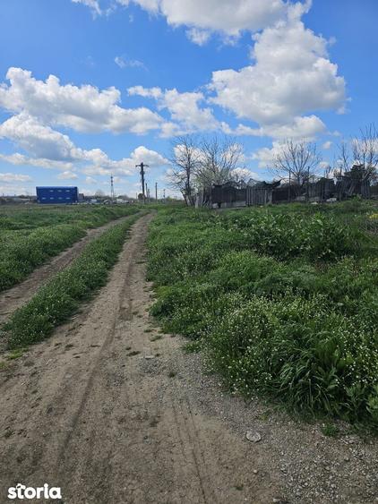 TEREN IDEAL INVESTITIE - PALAS - 3