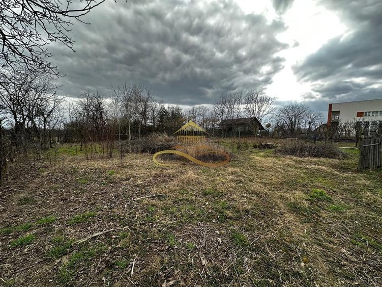 Teren Magura 2000 mp - intravilan -str. Intre Vii / Bacau - 8