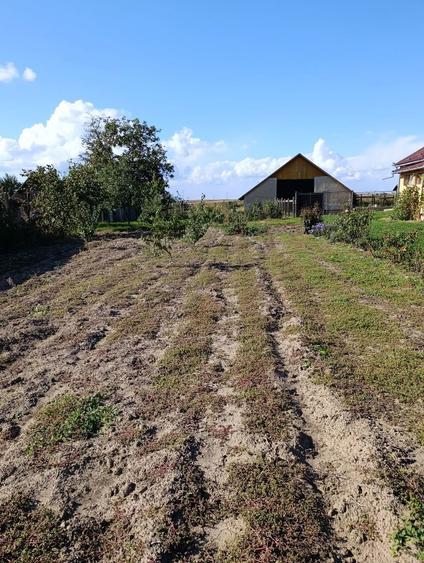 Casa de vanzare in comuna Petresti - 3
