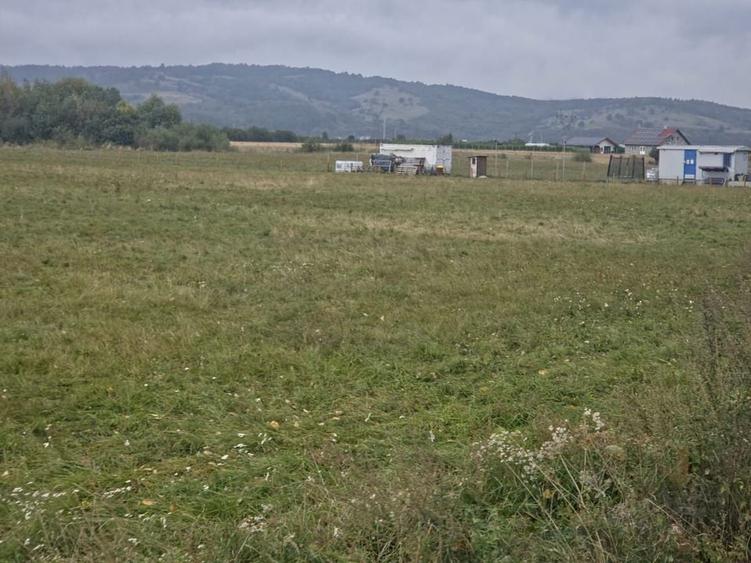 Teren intravilan RASNOV - 7