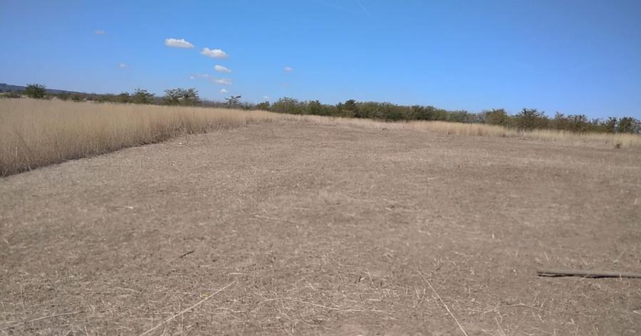 URGENT Teren zona Capsunarie Damila Selgros Strada LAMAITEI - 7