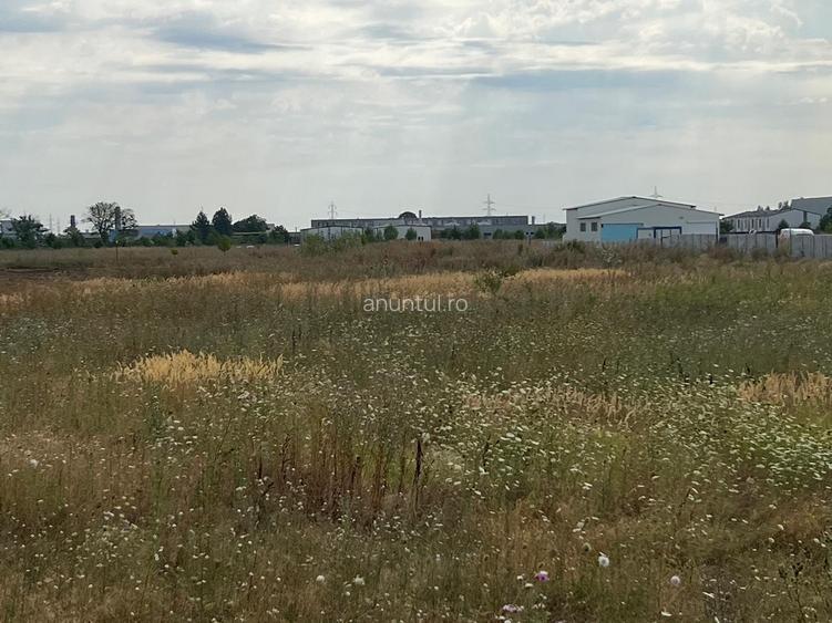 Theodor Pallady Theodor Pallady