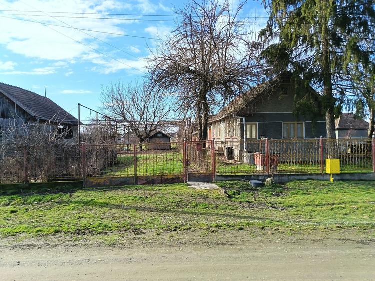 Casa de vanzare Gura Ariesului - 6