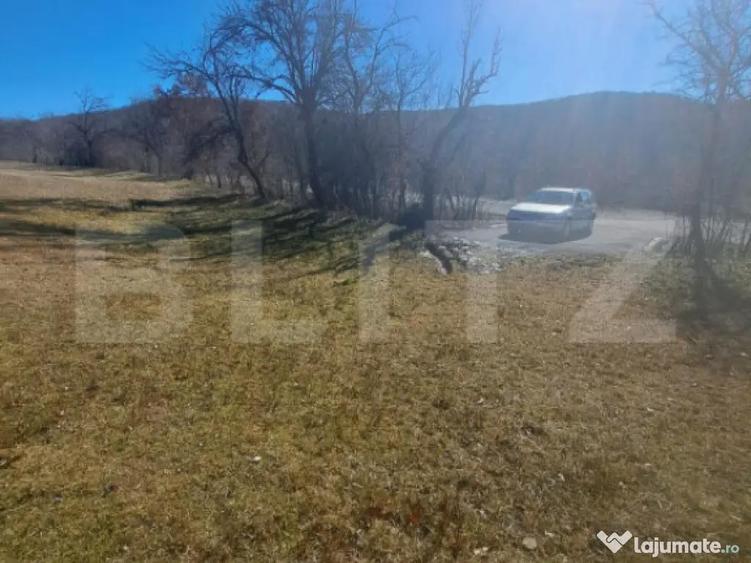 Teren intravilan, perfect pentru casa de vacanta, 5000 mp, A - 3