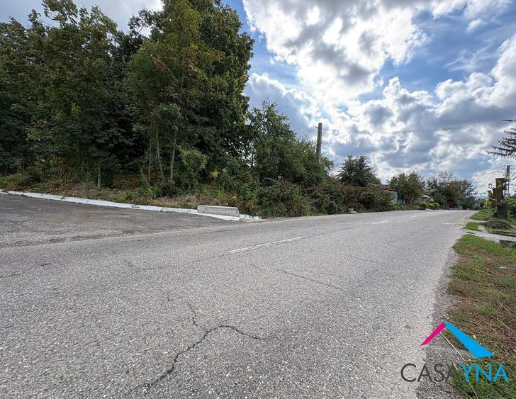 Lot teren 8.344 mp - Deschidere la 3 drumuri - Buhoci! - 2