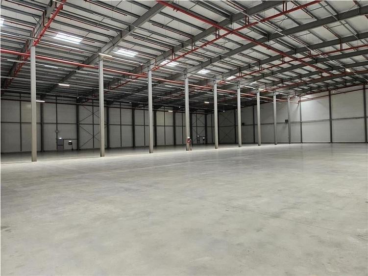 Spatiu Industrial - 5000 mp - Logistica - Productie - Depozitare - Distributie - 4