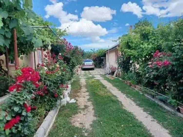 Casa de vanzare - 10