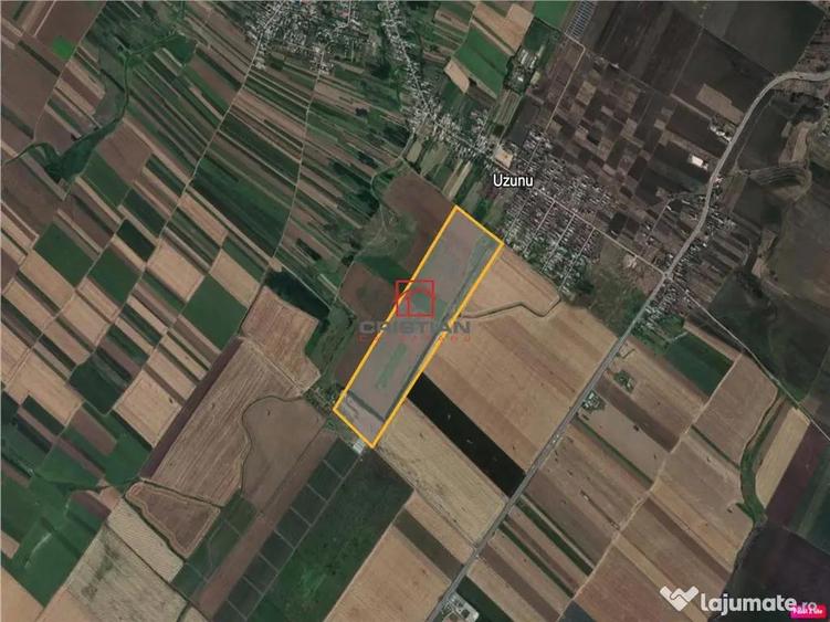 Teren intravilan Calugareni - Uzunu - DN5, Giurgiu - 2