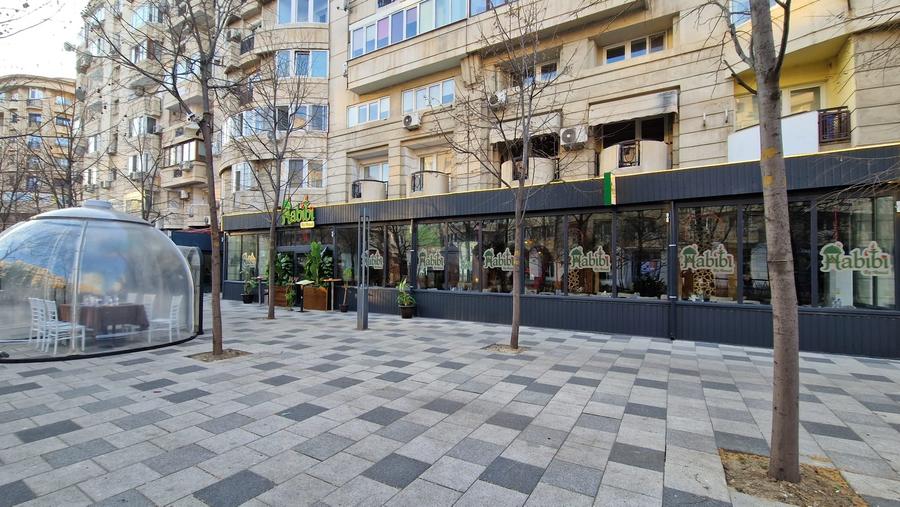 DECEBAL-ALBA IULIA -244 MP-PRET 6000 E - 1