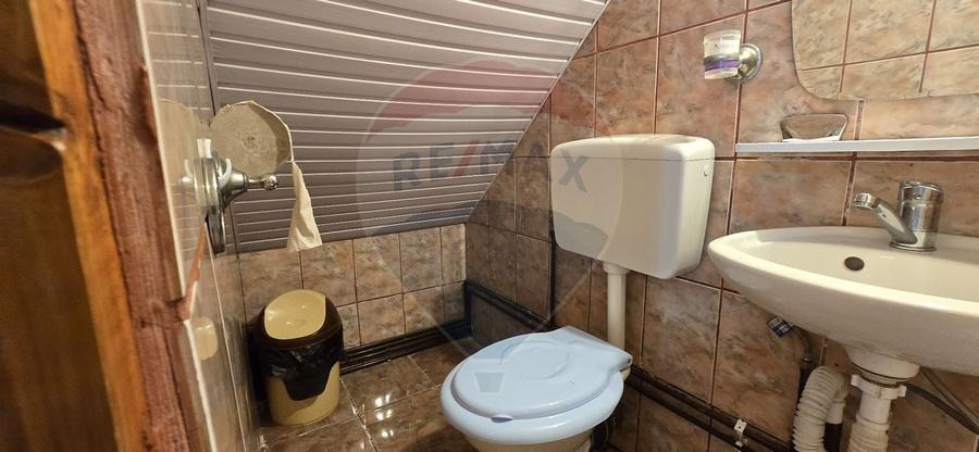 PENSIUNE IN CHISINEU CRIS - 5