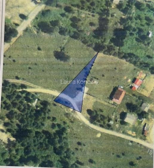 Teren Construcții intravilan de 1067 mp, în Remeți