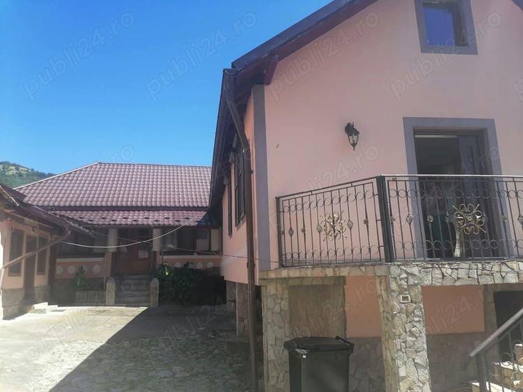 Casa si Teren Tara Lovistei Greblesti - 11