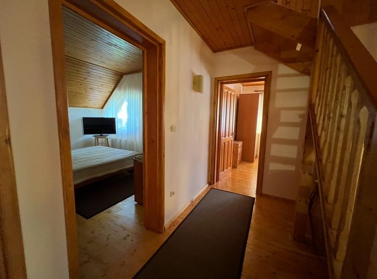 Vila la Busteni - 22