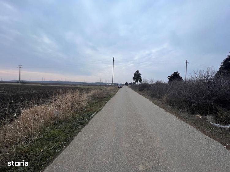 LOTURI DE CASA / Teren CHITILA / 500 Mp - 7