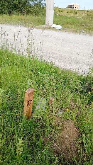 Teren de vanzare - 2