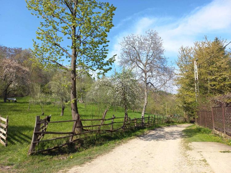 Teren de vanzare - 8