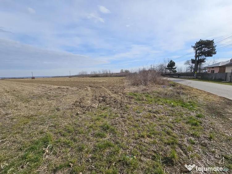 Teren intravilan - 3