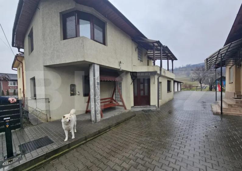 2 Case deosebite de vanzare - Zona Rebrisoara - 1