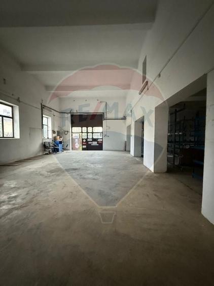 Hala - zona KAUFLAND Burdujeni - 2