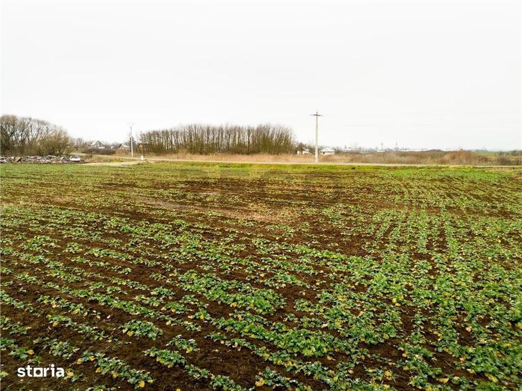 RECO . Teren extravilan 5000mp , 110ml front . - 9