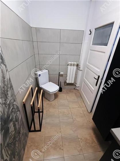 Apartament cochet cu 3 camere la casa langa Parcul Sub Arini - 12