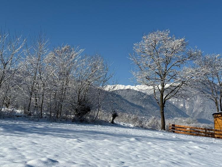 Teren intravilan zona Zarnesti-Tohanita cu priveliste,  intre 500 si 1000 mp - 10