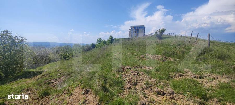 Teren Panoramic 15.500 mp Investitie sau Dezvoltare, Zona Aleea Ma - 11