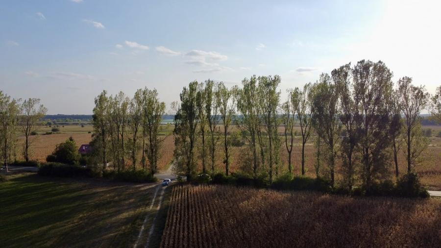 Teren rezidential retras langa lac SNAGOV in Silistea Snagovului, DN1, A3 - 5