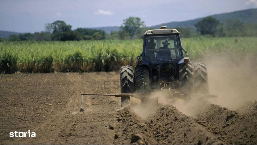 16 Ha curea de teren arabil in Saulesti/ DJ661 - 3