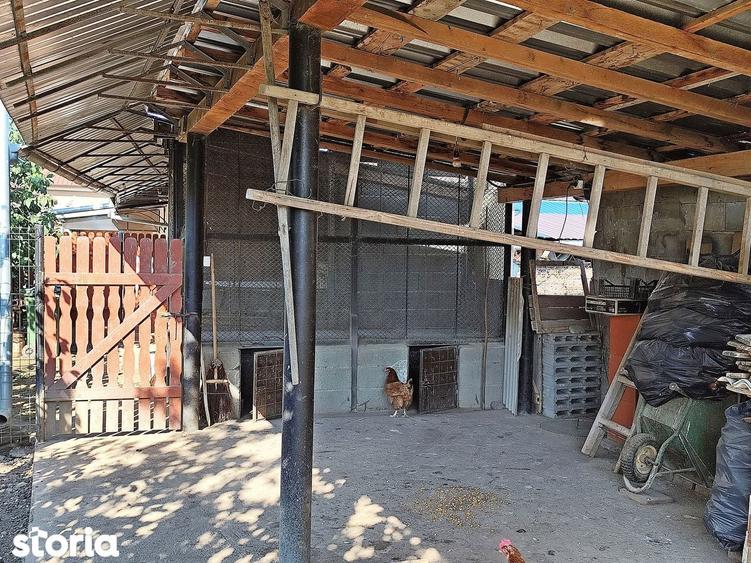 Casa la tara in Sacadat, Bihor, teren 2826 mp, acces auto - Vanzare - 5