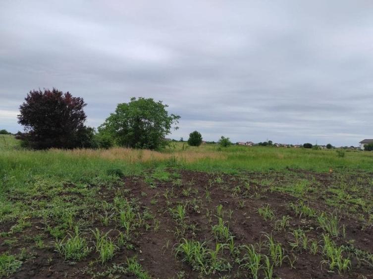 Ciorogarla, Teren intravilan de vanzare - 1