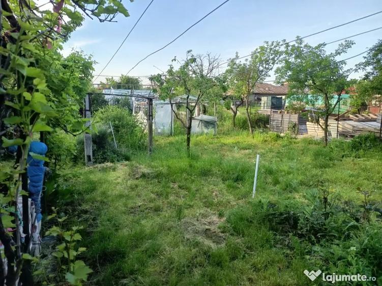 Casa de Vanzare Tineretului Ro?iorii de Vede - 7