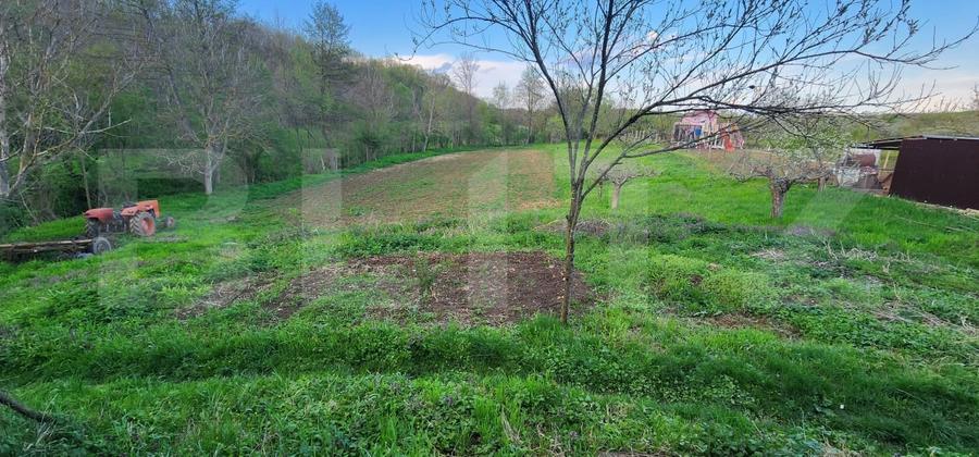 Teren 6650 mp, cu casa nefinalizata de 111 mp, in Nisipoasa. - 1