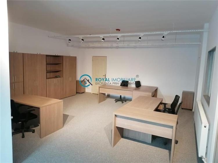 Royal Imobiliare - Vanzare Spatiu de productie Albesti Paleologu - 9