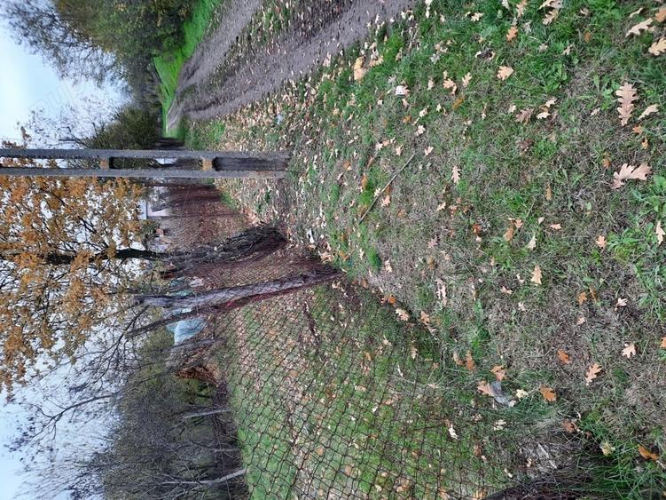 Teren de 470 mp, în Gălăteni