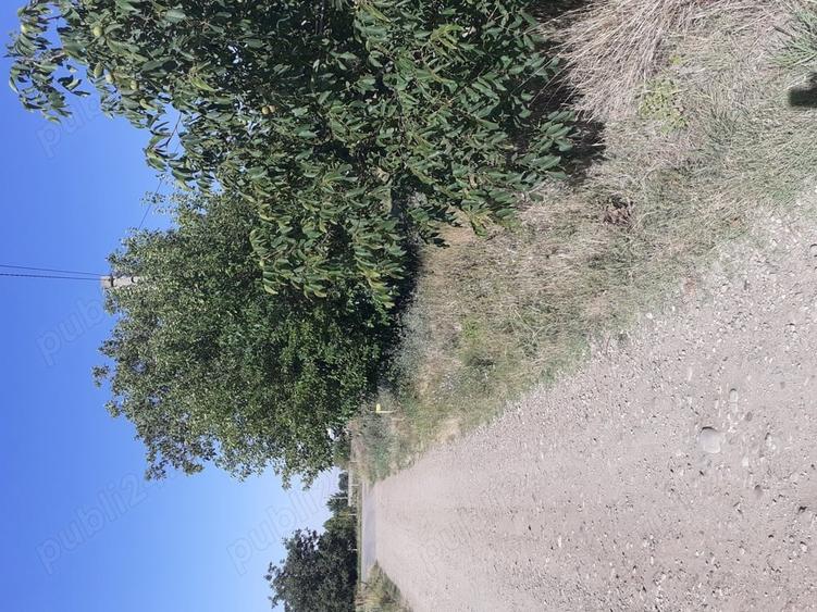 Teren de 4000 mp, în Căldărușeanca