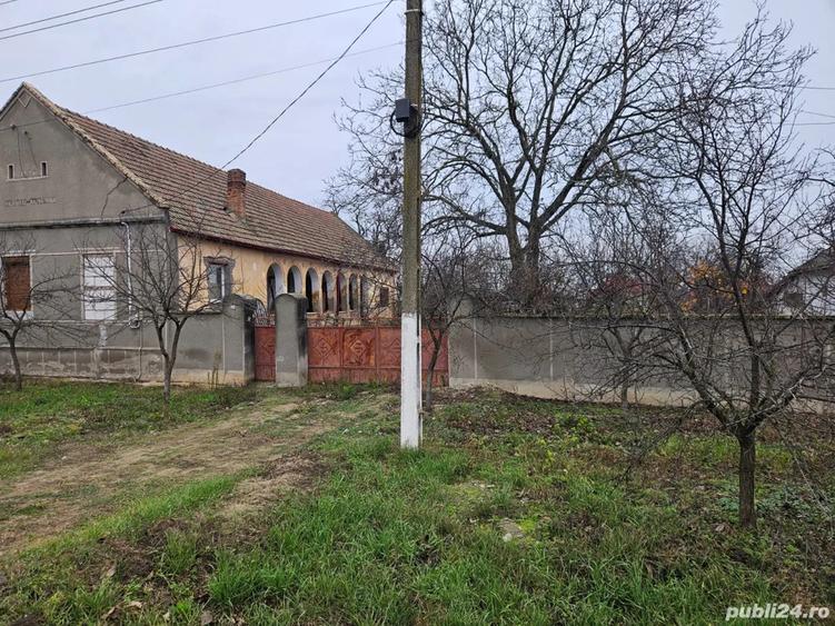 vand casa vinga mailat - 3