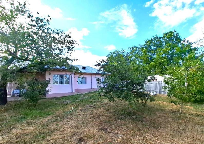 Casa si teren de vanzare Blidari - Cotesti - 2