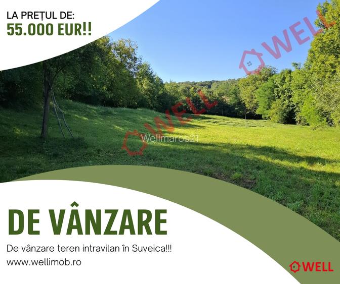 De vânzare casă, situată în Suveica!