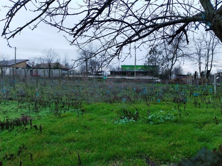 Vând casă bătrânească, sau schimb  - 5