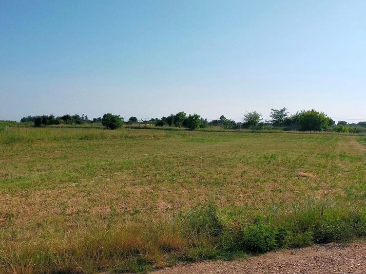 Teren Construcții intravilan de 2502 mp, în Moara Vlăsiei