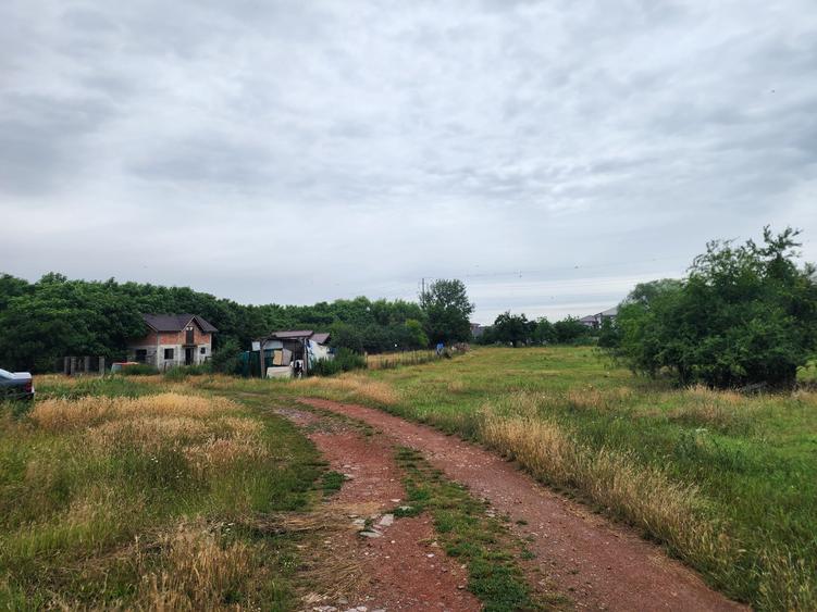 Teren Construcții de 700 mp, în Giroc